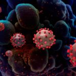 Chile detecta nueva cepa de COVID-19 hallada en Gran Bretaña salud