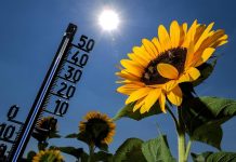 Cientificos pronostican aumento de muertes en los trópicos por oleadas de calor mundo