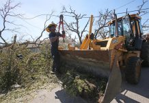 Rescatistas buscan entre los escombros víctimas mortales por el huracán Michael estados unidos