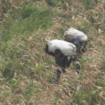 MAG con buenas expectativas para el ciclo de primera nicaragua