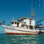 Informan sobre veda de la langosta en el mar Caribe de Nicaragua nicaragua