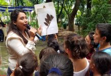 Niñez nicaragüense aprenden a elaborar un herbario de nuestro árbol nacional nicaragua