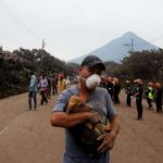 Equipo de rescate atiende a 300 animales por la erupción en Guatemala Equipo de Rescate de Animales de Humane Society International
