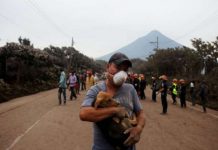 Equipo de Rescate de Animales de Humane Society International