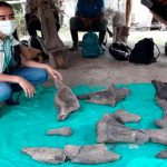 Hallan restos de un mastodonte de más de 10.000 años de antigüedad en Colombia ciencia