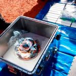 Analizan en Japón la cápsula espacial Hayabusa2 que regresó a la Tierra ciencia