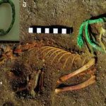 Descubren en Egipto el cementerio de mascotas más antiguo conocido ciencia