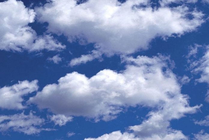 6a28a57a33da7fc853ed4750cf0654b5 marcio baca