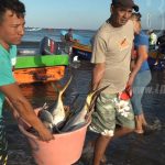 Actividad pesquera se mantiene a buen ritmo en Nicaragua nicaragua