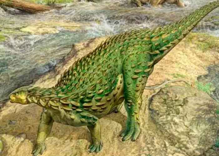 7.2_yfGBzD5 reino unido