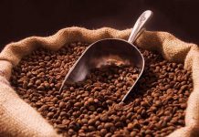 Café de Panamá impone nuevo récord panama