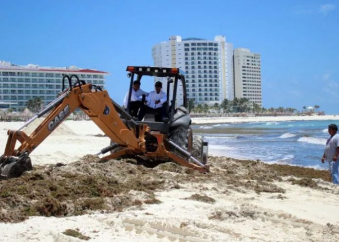 autoridades mexicanas