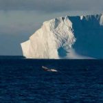 Advierten del impacto del calentamiento global en el sistema atlántico ciencia