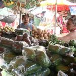 Buen comportamiento de diversos rubros en la cosecha de postrera nicaragua