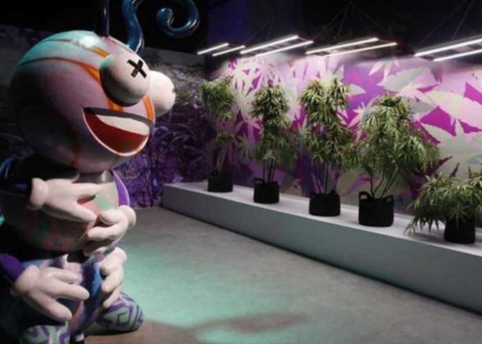 8_BlaCQKO estados unidos