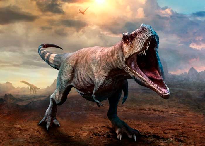 8_E6UUsHZ investigadores