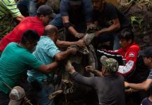 mexico