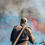 La Amazonía brasileña perdió unos 8.500 kilómetros cuadrados de selva en 2020 brasil