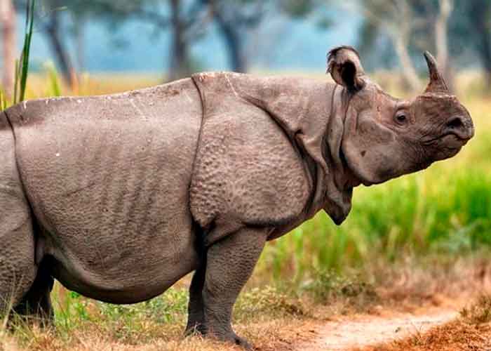 9.1_tV0MD4f estudio cientifico