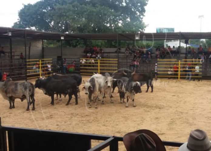 9_RJunB97 actividades de recreacion para las familias