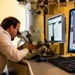 Las hormonas sexuales podrían estimular el crecimiento de tumores cerebrales investigadores