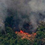 Incendios forestales aumentaron en Brasil durante 2020 brasil