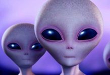 ¿Encontraremos pronto vida alienígena? encontraremos
