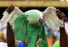 Prohíben en Rusia llevar gallinas vivas a los estadios rusia