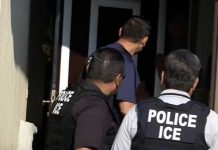 Arrestan 136 inmigrantes en operativos en Nueva York y Nueva Jersey estados unidos