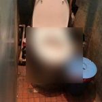 Parió a su bebé en una fiesta y lo tiró en una bolsa para seguir chupando rusia