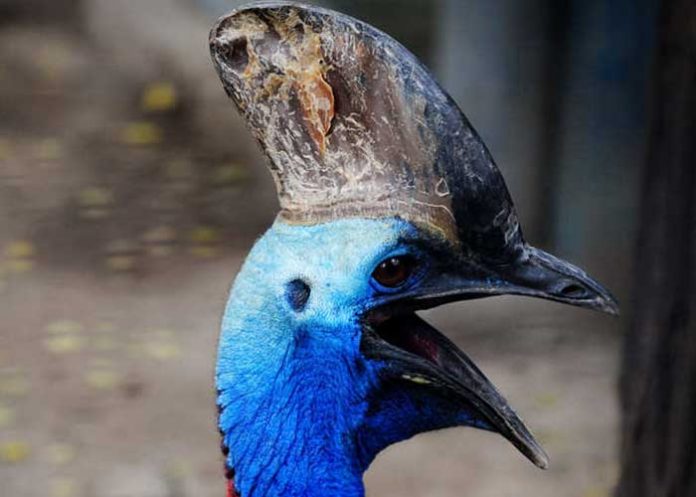 AVE-POR estados unidos