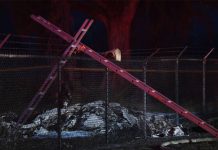 Estrello de avión deja 9 muertos en Hawái accidente aereo