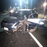 accidente de transito