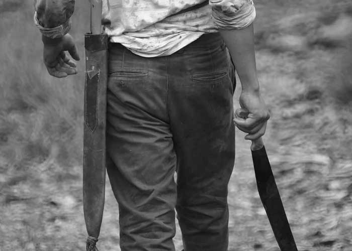 Agresion_80vdVcB agresion verbal