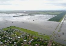 Cuatro muertos y miles de evacuados por inundaciones en Argentina muertos