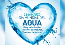 Día Mundial del Agua: el verdadero oro líquido 22 de marzo