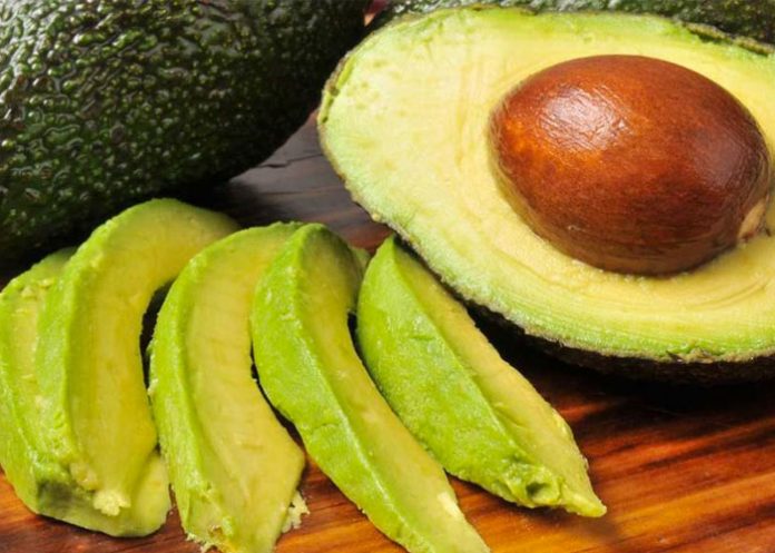 Aguacate mexico