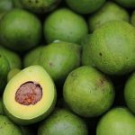 ¿Peligra la producción de aguacate en México por la pandemia? mexico