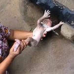 Desgarrador: Sacan vivo de una alcantarilla a un recién nacido bebe