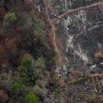 incendio en la amazonia