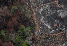 Noruega recorta inversión en Brasil para proteger el Amazonas incendio en la amazonia