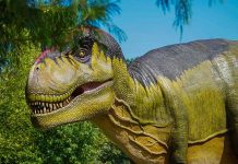 Hallan huellas de dinosaurios por primera vez en tierra firme de Escocia europa