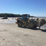 Hallan extraña criatura putrefacta en una playa de Maine (Fotos) playa