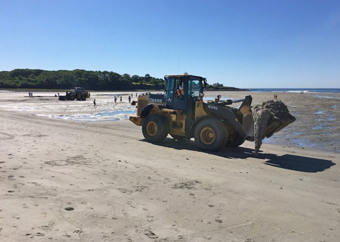 Animal_p620crH playa