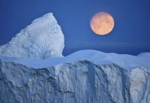 ¿Qué son las ‘cataratas de sangre’ de la Antártida? antartida