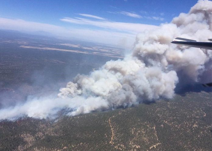 Arizona_E3TpJPa arizona