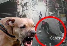 Video: Momento en que «Zeus» ataca a trabajadores de ferretería