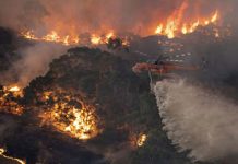 Nicaragua envía mensaje de solidaridad al pueblo de Australia