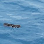 Confirman hallazgo de restos humanos donde se accidentó avión chileno chile