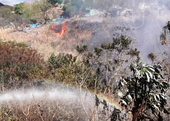 B2_vd2Wawj incendio forestal